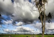 YY易游：盧頓宣布今夏第十簽！引進荷蘭門將克魯爾提升英超經驗！.