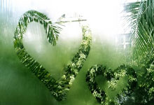 YY易游：盧頓宣布今夏第十簽！引進荷蘭門將克魯爾提升英超經驗！.