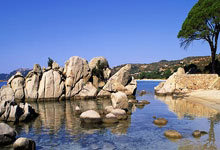 田径——南京室内世锦赛:女子60米颁奖仪式举行.